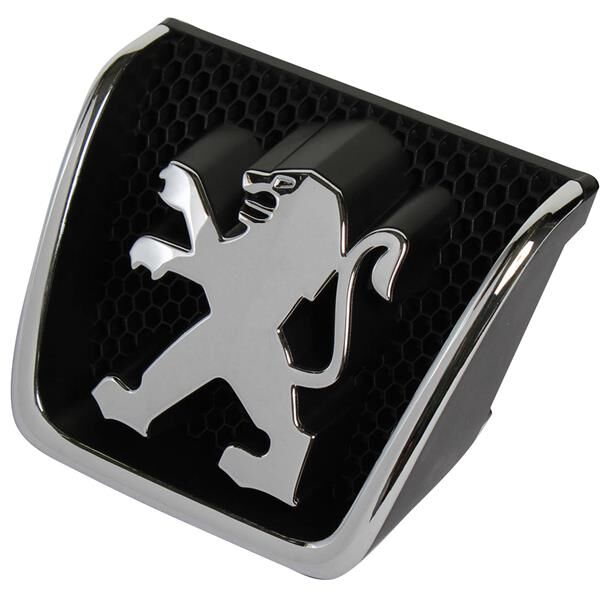 ÖN PANJUR ARMASI P301-P307 01-06 | OEM:7810.G8