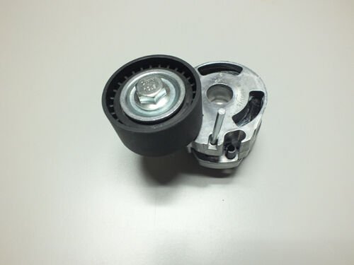 ALTERNATÖR GERGİ RULMANI KÜTÜKLÜ P206 1.4HDI-407-PARTNER 1.6 HDI-C3 1.6 16V-C5 1.6HDI-BERLINGO 1.6 | OEM:5751.89-1613840380-1214747-1329630