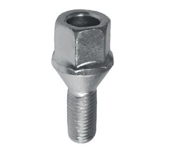 BİJON CIVATASI ORJ. CLIO-MGN | OEM:8200058103