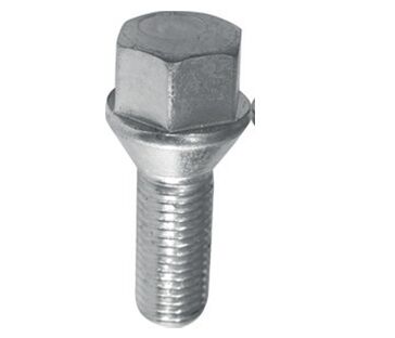 BİJON CIVATASI KROMAJLI MGN-KNG-CLIO YM | OEM:8200473355