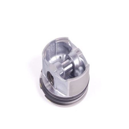 MOTOR PİSTON SEGMAN 0.25 540I-740I-840I-X5 | OEM:11251708901