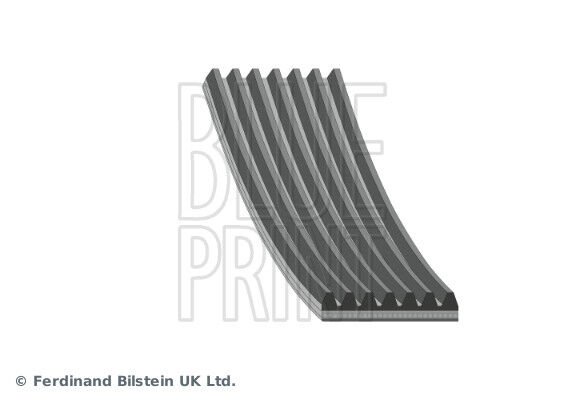 V KAYIŞI FIAT TALENTO II-TALENTO II MULTİCAB | OEM:6000616600