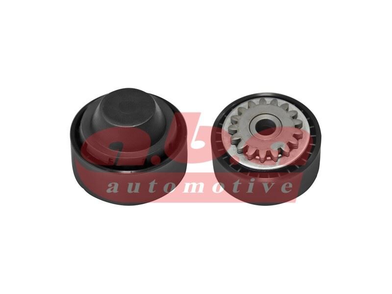 x ALTERNATÖR GERGİ RULMANI CLIO I-II 96- -KNG 01- -TWNG 96- -SANDERO 08- 1.2-1.2 16V | OEM:8201008780-8200040155-7700870795