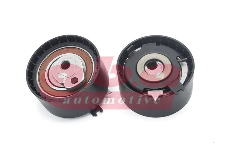 EKSANTRİK GERGİ RULMANI CLIO III-LGN II -III-MGN II III-FULENCE-MODUS-SCENIC II-III 1.6 16V K4M 804 | OEM:8200191324-8200347761-8200623883